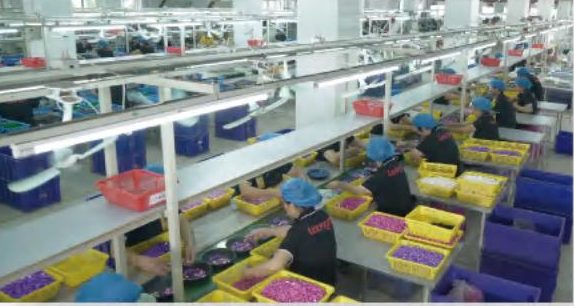 Cogo assembly line with workers packing brick sets